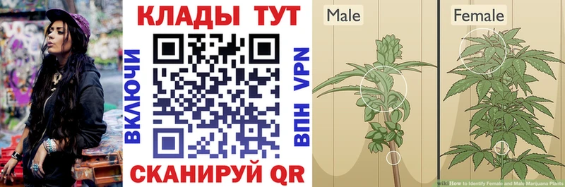 Купить наркотики сайты Ессентукская Cocaine  A PVP  Амфетамин  Бошки Шишки  Меф  МЕТАДОН  ГАШИШ 