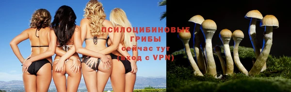 марки lsd Навашино