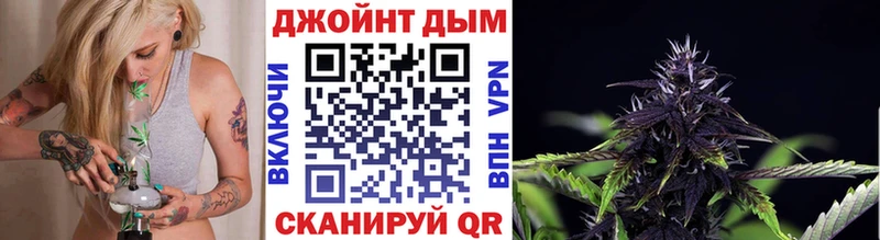 Канабис OG Kush Ессентукская